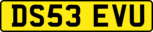 DS53EVU