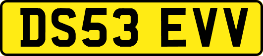 DS53EVV