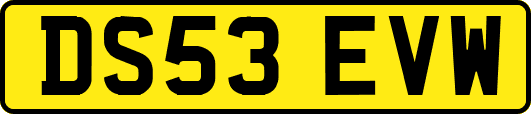 DS53EVW