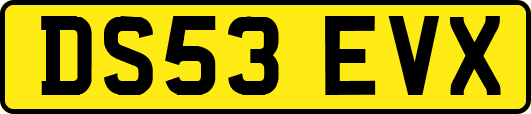 DS53EVX