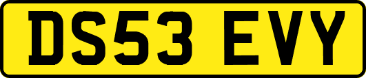 DS53EVY
