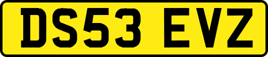 DS53EVZ