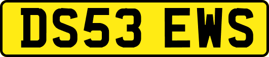 DS53EWS
