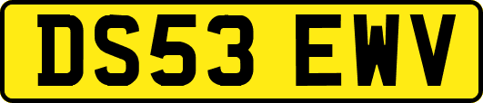 DS53EWV