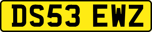 DS53EWZ
