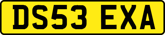 DS53EXA