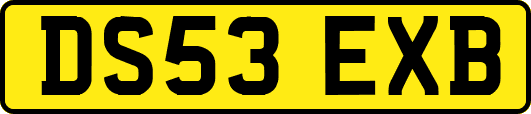 DS53EXB