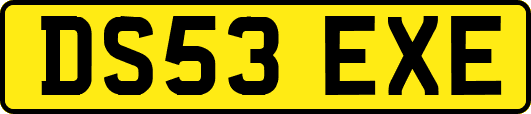 DS53EXE