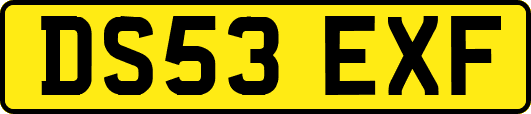 DS53EXF