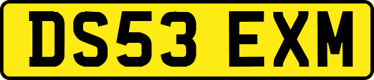 DS53EXM