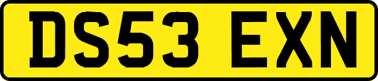 DS53EXN