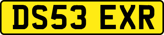DS53EXR