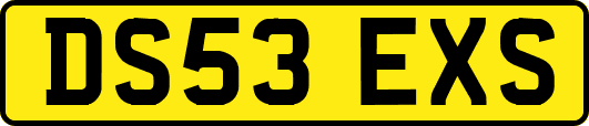 DS53EXS