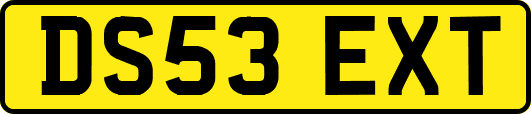 DS53EXT