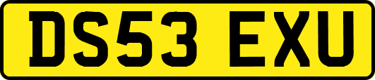 DS53EXU