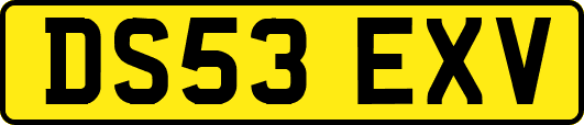 DS53EXV