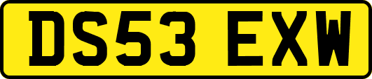 DS53EXW