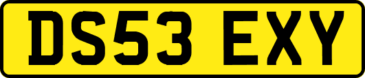 DS53EXY