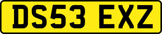 DS53EXZ