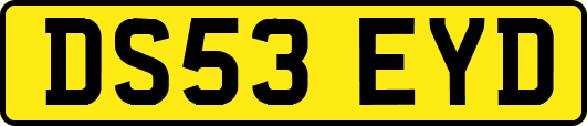 DS53EYD