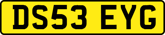 DS53EYG