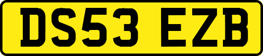 DS53EZB