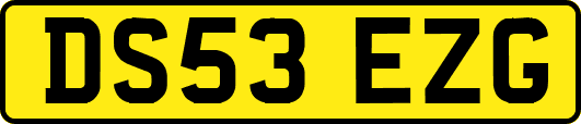 DS53EZG