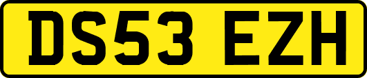 DS53EZH