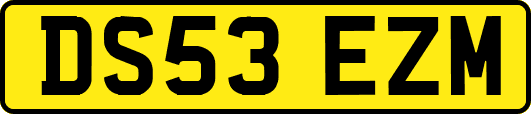 DS53EZM