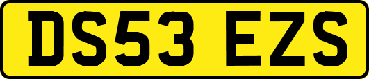 DS53EZS