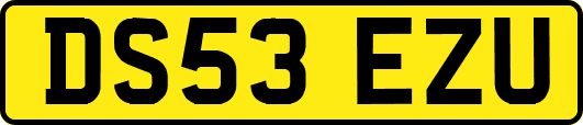 DS53EZU