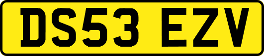 DS53EZV