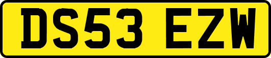 DS53EZW