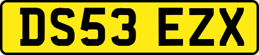 DS53EZX