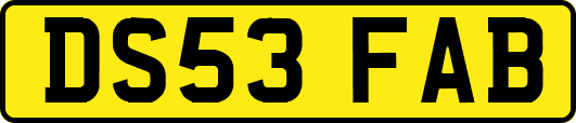 DS53FAB