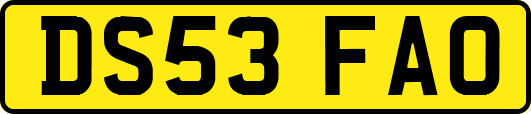 DS53FAO