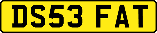 DS53FAT