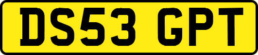 DS53GPT