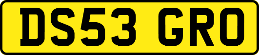 DS53GRO