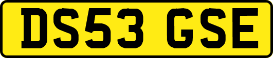 DS53GSE