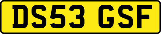 DS53GSF