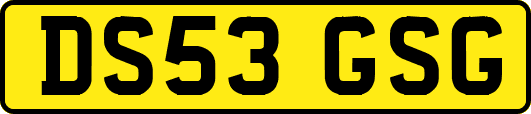 DS53GSG
