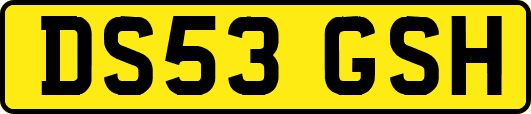 DS53GSH