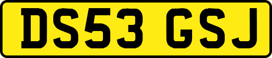DS53GSJ