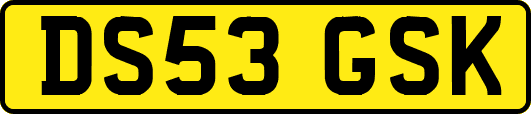 DS53GSK