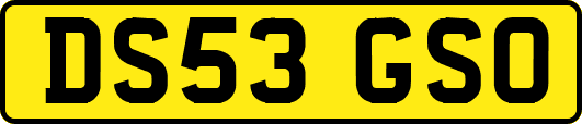 DS53GSO