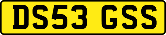 DS53GSS