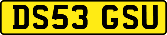 DS53GSU