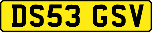 DS53GSV