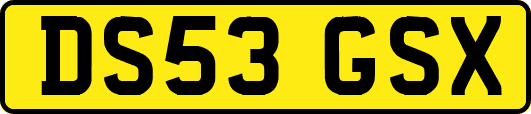 DS53GSX